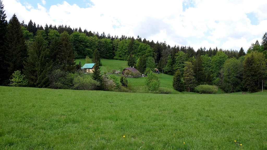 Salajka (19.5. 2026)