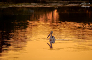 Flickr photo: sunset in winter