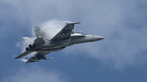 Mc Donnell Douglas FA-18 Hornet | by gazza s