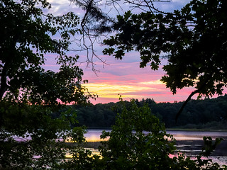 Flickr photo: 20260830_060053 copy