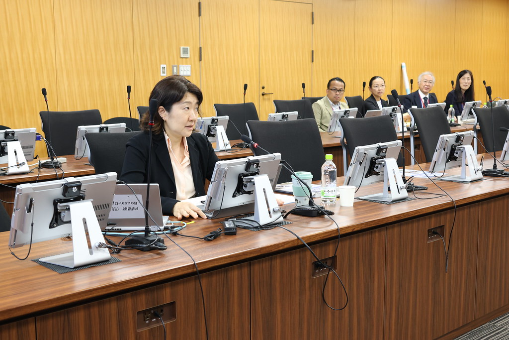 AHA Centre Executive (ACE): Leadership in Emergency and Disaster Management Programme (ACE-LEDMP) – Phase II Project - 382