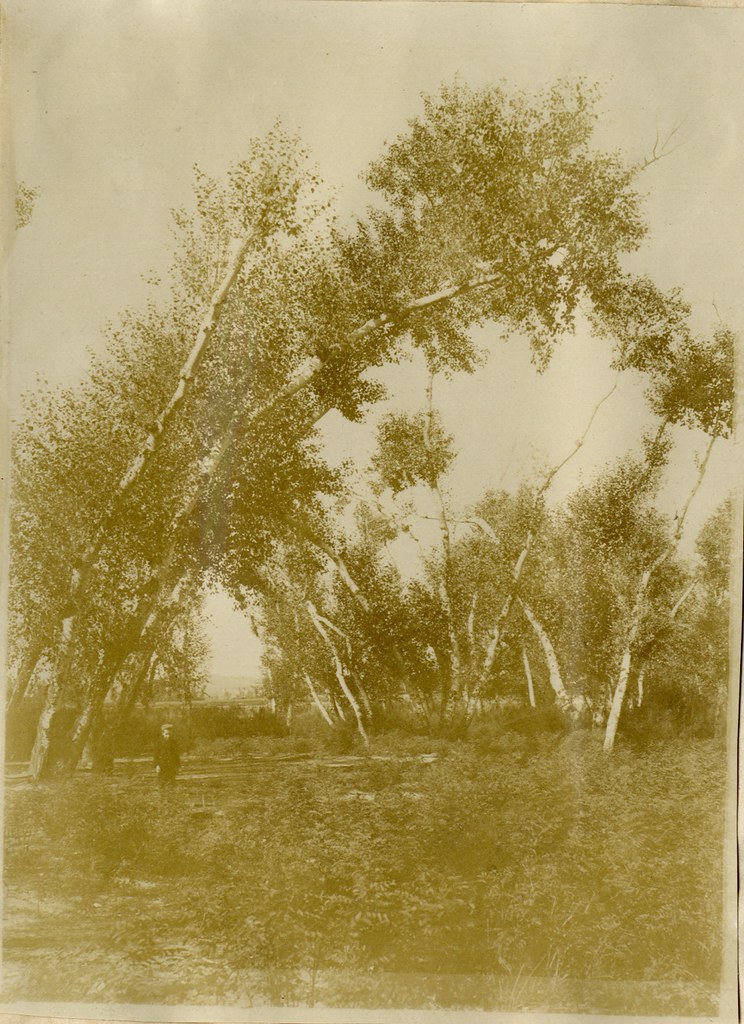 Alameda en la ribera del Tajo a comienzos del siglo XX. Álbum personal del militar Fermín García Selva. Archivo Municipal de Toledo