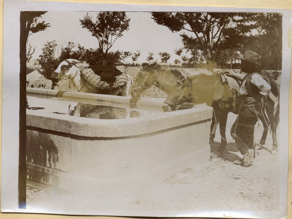 Un burro cargado bebe agua en el abrevadero situado frente al Paseo de Merchán, en la puerta del Hostal del Cardenal, a comienzos del siglo XX. Álbum personal del militar Fermín García Selva. Archivo Municipal de Toledo
