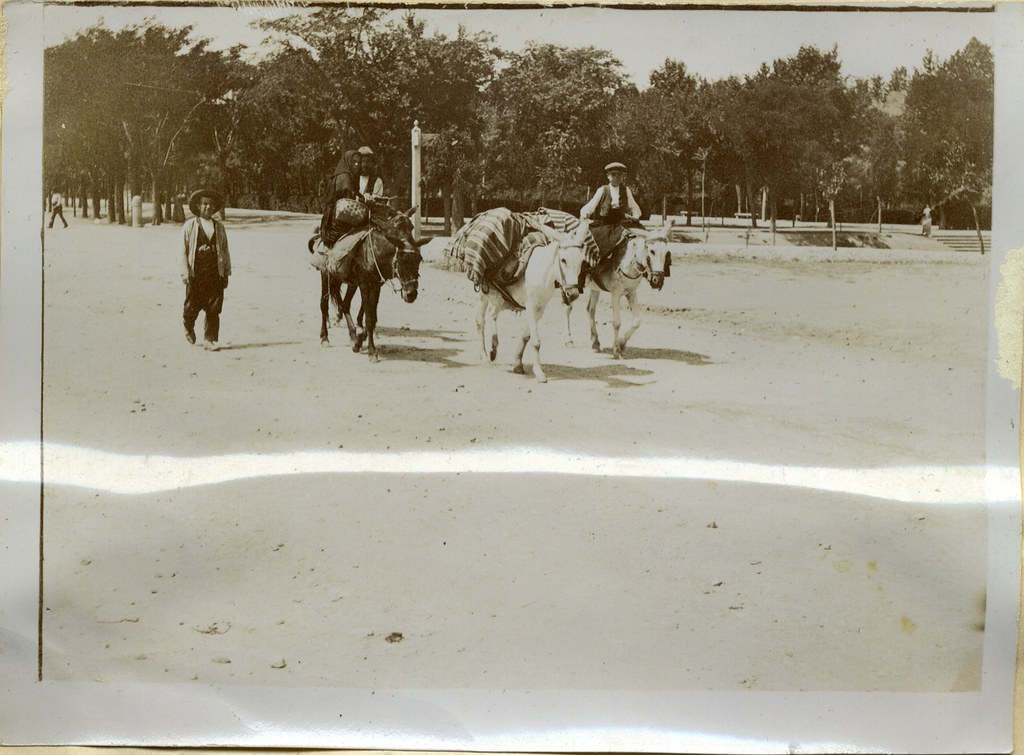 Arrieros en el Paseo de Merchán muy cerca del Hospital de Tavera a comienzos del siglo XX. Álbum personal del militar Fermín García Selva. Archivo Municipal de Toledo