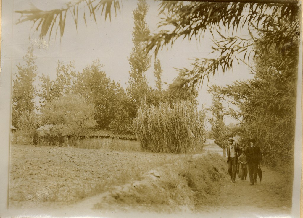 Cañaverales en la ribera del Tajo a comienzos del siglo XX. Álbum personal del militar Fermín García Selva. Archivo Municipal de Toledo