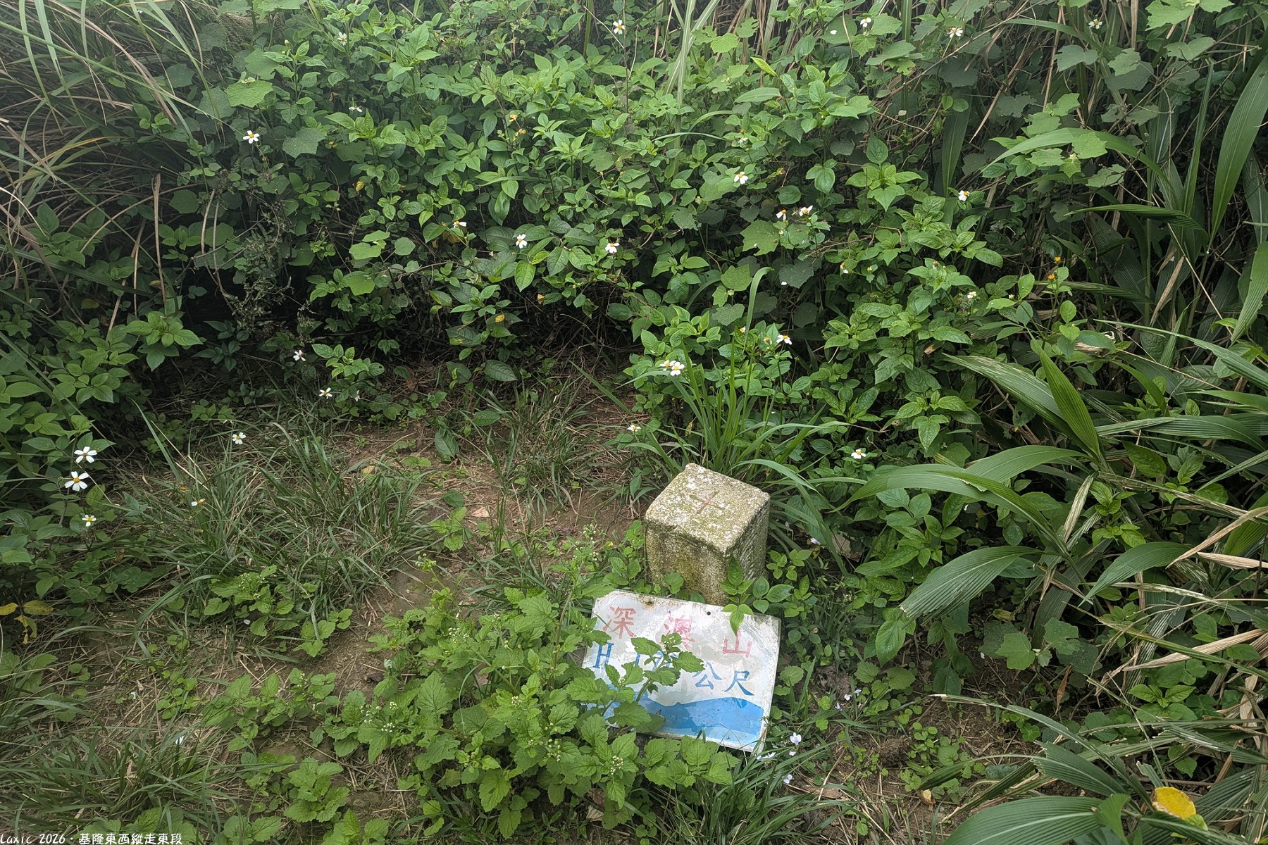 PXL_20260411_072807498