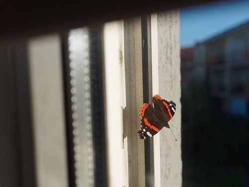 The last days of August