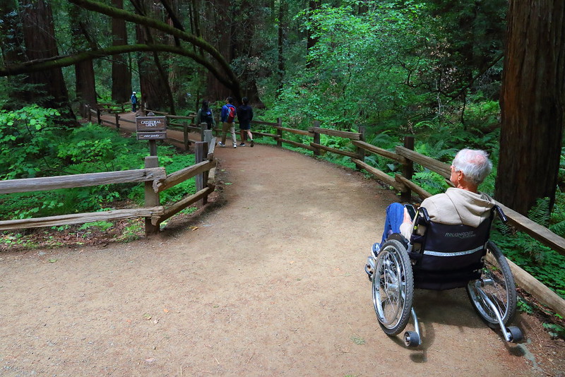 IMG_4353 Muir Woods National Monument