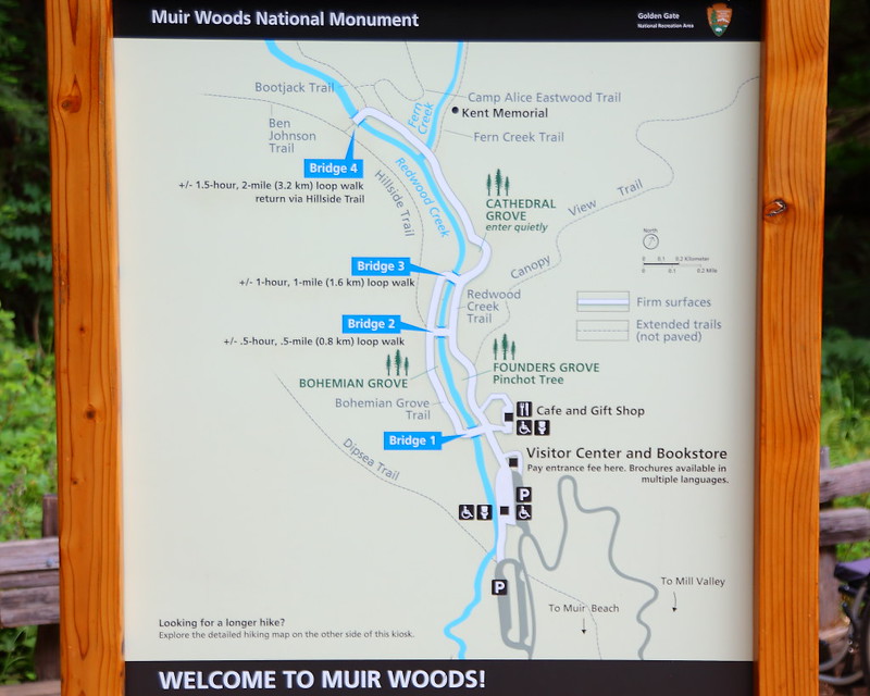IMG_9124 Muir Woods National Monument