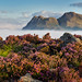 Peaks Above the Clouds Peaks Above the Clouds