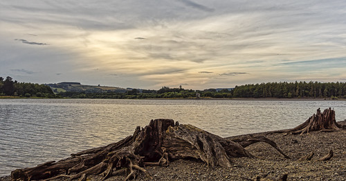Blessington Lake [HDR]