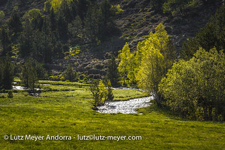 Flickr photo: Andorra nature: Canillo, Vall d'Orient, Andorra