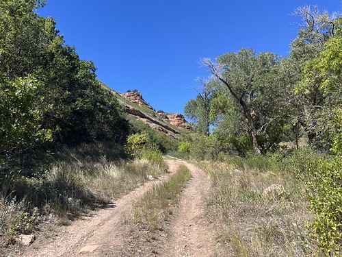 Bear Hollow