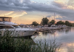 Frenchman's Bay