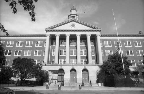 Midwood High School