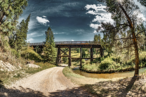 fish eye trestle