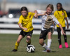Florida Premier vs Chargers SC TPA G2016/17