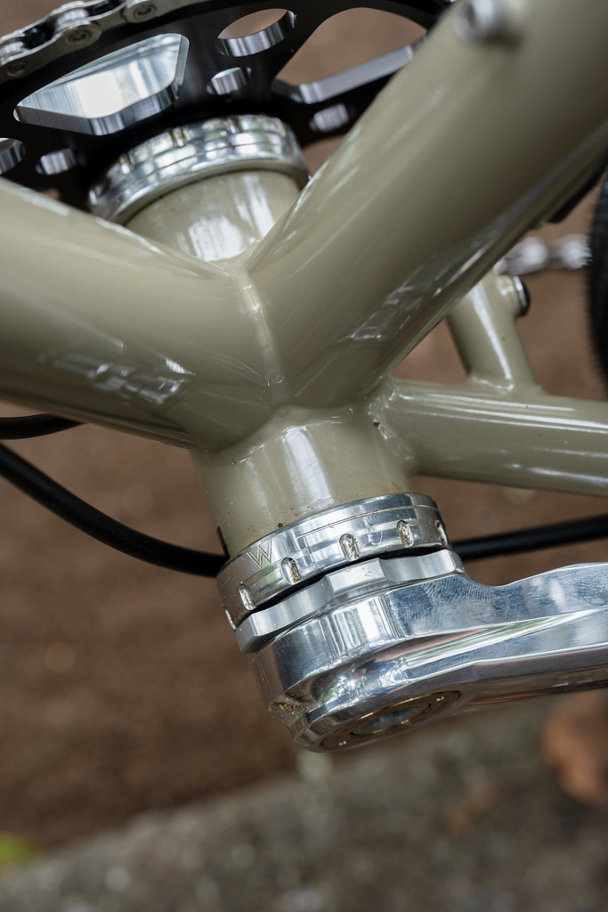 *BLACK MOUNTAIN CYCLES* la cabra