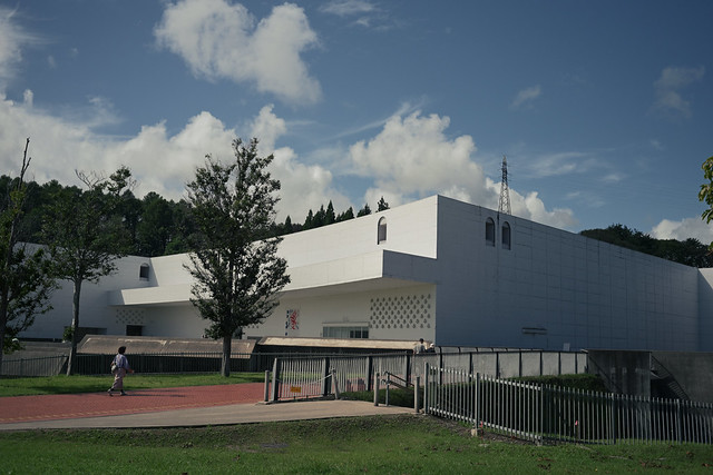 NZF_6512