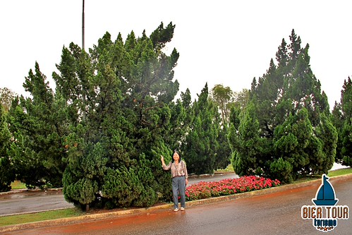 batch_IMG_0919