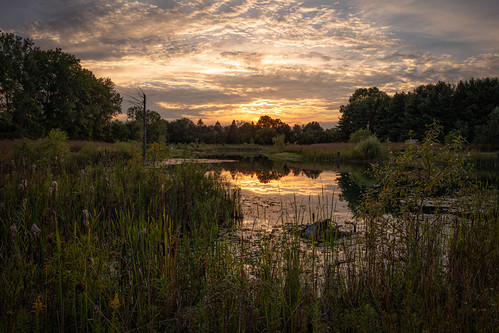 Cannonball Prairie Metropark