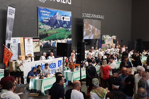 Ordiziako 53. Ardi latxa gazta txapelketa. Hamalau finalistak