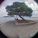 3D Fisheye Photo - Nanaimo