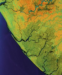 Biomass images mangrove degradation in the Niger Delta