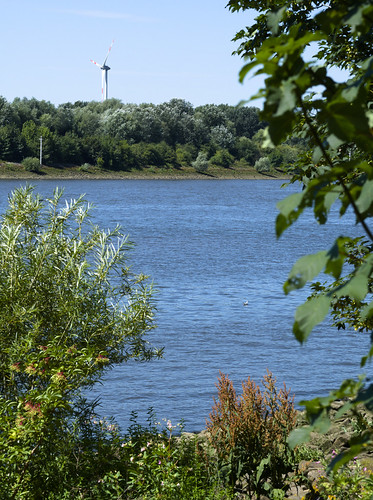 Waterfront 07291328r