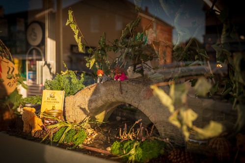 RGVS Winnie the Pooh Le'Marche window-2