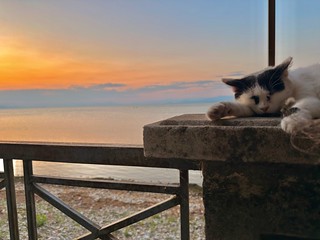 Sunrise or sunset photo of Shkodër