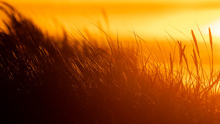 Flickr photo: Die Sonne versinkt...