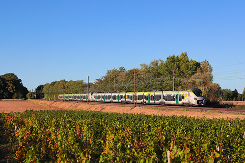Z54541 & TER 17777 Paris-Bercy - Lyon-Part-Dieu | by Basile Rapha