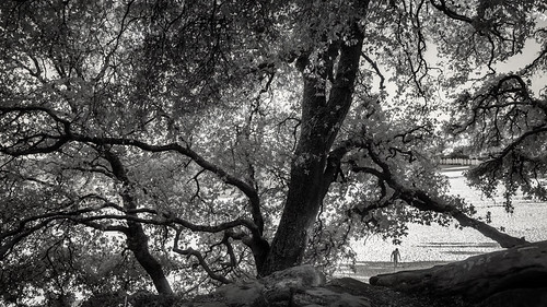 _IR20032-780nm