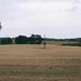 Farmhouse and Fields Towards a Distant Hill