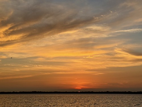 IMG_0721