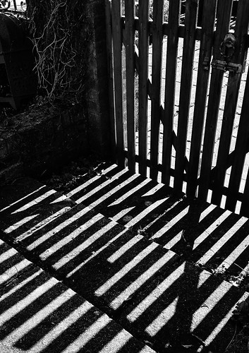 Shadows | by ART NAHPRO