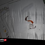 DSC_0954