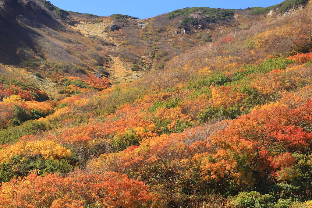 立山紅葉 2021-10-10 193