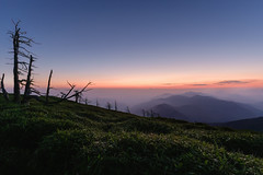 Lovely sunrise from Tsurugi