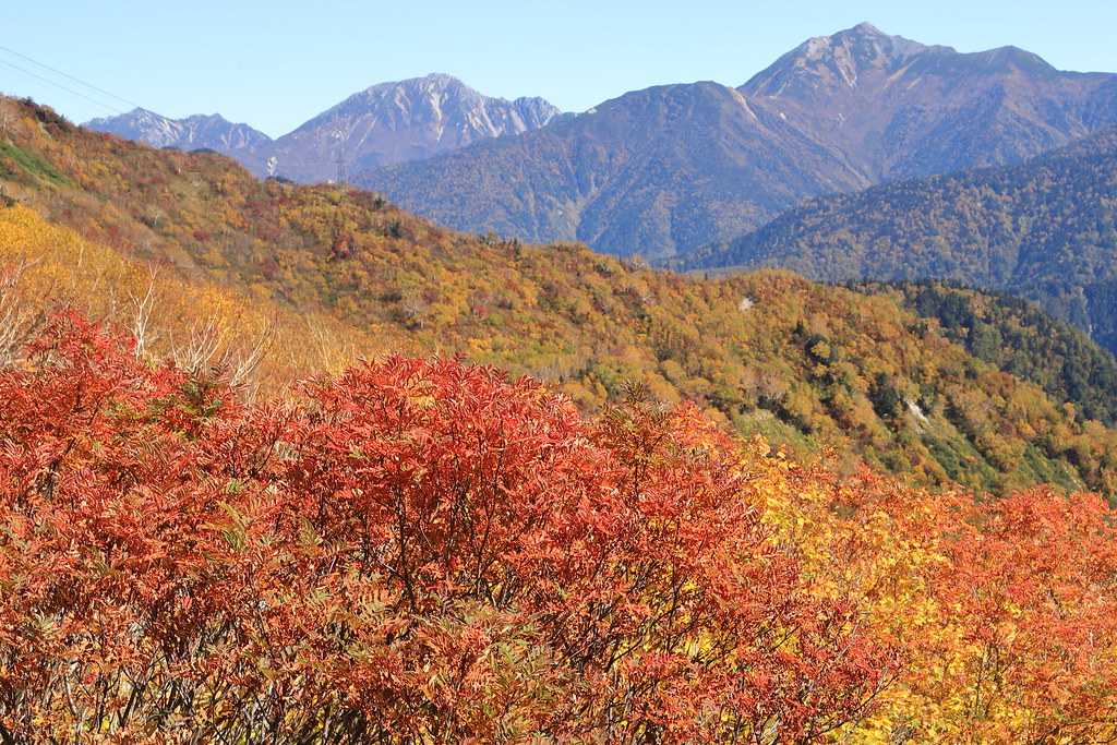 立山紅葉 2021-10-10 217