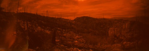 What is coming in the future | by ₡ґǘșϯγ Ɗᶏ Ⱪᶅṏⱳդ