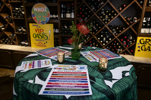 Third floor VIP Oasis at the WWOZ Groove Gala - Sep. 10, 2026. Photo by Kristen Derr.