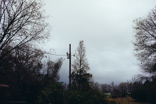 Bivins, TX