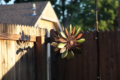 Garden Shadows