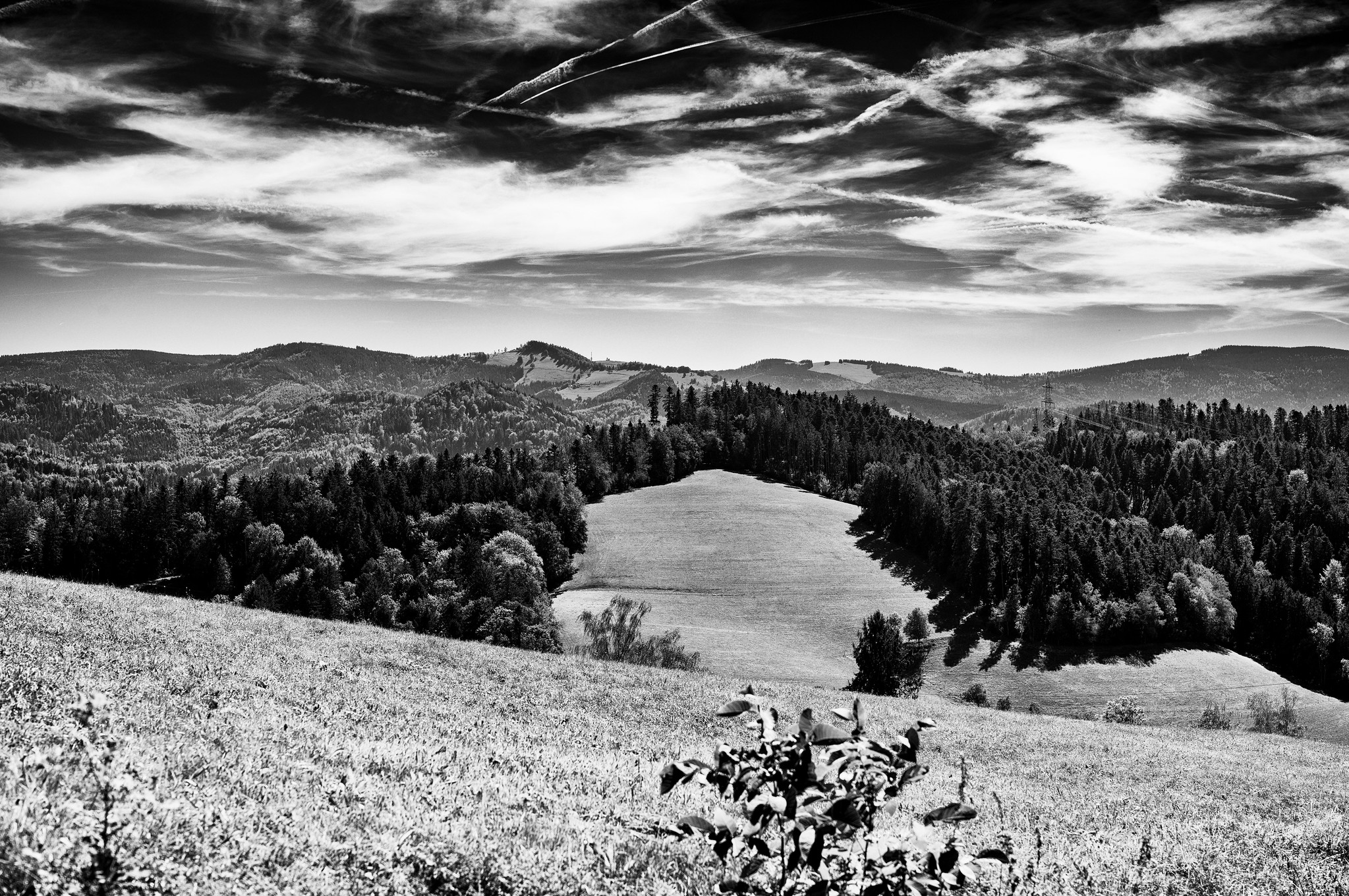 Blick zum Feldberg