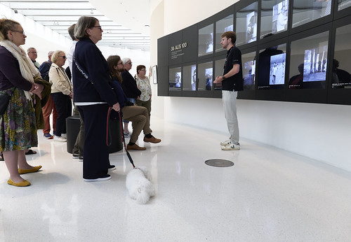 A small dog enjoying the Leica factory tour.