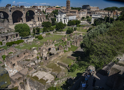 Forum in Rome, Italy
