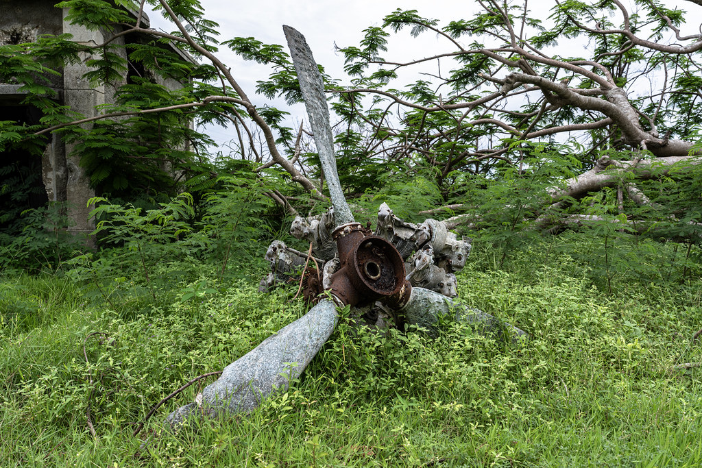Remains of Japanese Aircraft Engine, Tinian