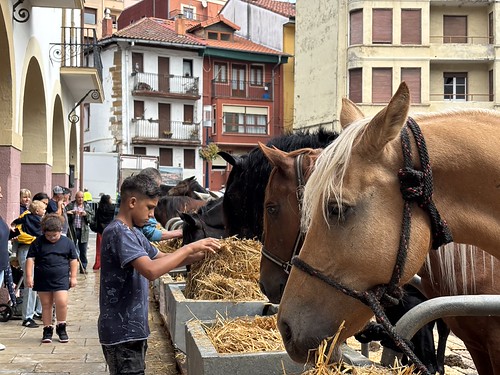 Bermeo